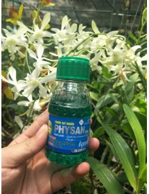 Pysan Má»i Chá»ng Chay Bia La Thá»i NhÅ©n Thá»i Than sieu thá» hoa lan