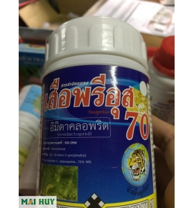 Đặc trị ruồi đục bông Thái Lan