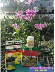 "Super four" bộ sản phẩm chăm sóc rễ cho cây trồng.