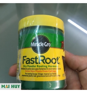 Miracle Gro Fast Root - ra rễ, con, chồi, ki