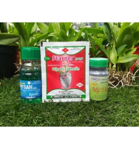 Xử lí thối đơn giản mà hiệu quả_ dành cho phong lan Xử lí thối đơn giản mà hiệu quả_ dành cho phong lan