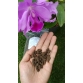 Phân tan chậm Trùn Quế cực tốt cho hoa Lan, Bonsai và các loại cây kiểng