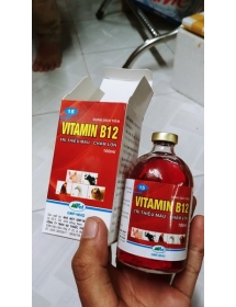 Vitamin B12 100ml, CÓ NƯỚC