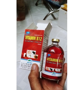 Vitamin B12 