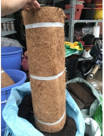 Sơ dừa cuộn