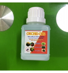 Siêu phóng đọt Orchid One ( Xuất xứ: Thổ Nhĩ Kỳ)