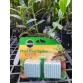 Phân con sâu Miracle-Gro Indoor Plant Food Spikes (Mỹ)-62 g