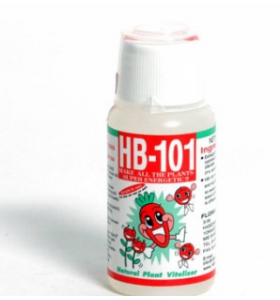 Siêu kích rễ Nhật Bản HB101