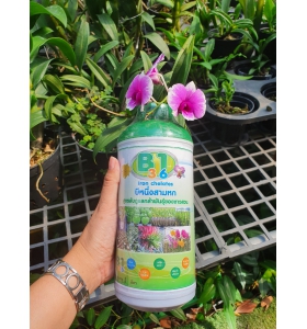 B1 3.6 chuyên làm hoa từ Thái Lan, có nước