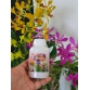 B1 Grofer làm hoa đẹp, xử lý sau khi ra hoa từ Thái Lan - Có nước