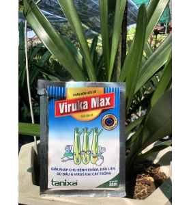 VIRUKA MAX - Phân bón hữu cơ – tinh dầu sả. Giải pháp cho bệnh khảm, đầu lân, gù đầu & virus hại cây trồng