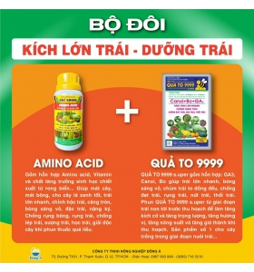 COMBO KÍCH LỚN TRÁI DƯỠNG TRÁI