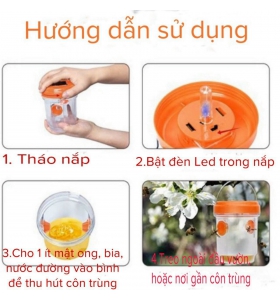 LỒNG BẪY RUỒI VÀNG