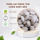 Phân tan chậm hữu cơ Nhật Nurseryace 12-6-6