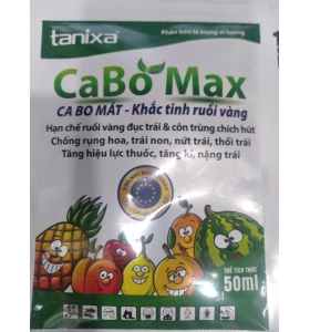 CABO MAX KHẮC TINH RUỒI VÀNG