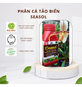 Phân Tảo Biển SEASOL siêu ra rễ, CÓ NƯỚC