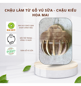 Chậu làm từ gỗ Vú Sữa - TRÁI TÁO -HOA MAI