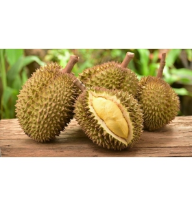 Sầu riêng Musang king