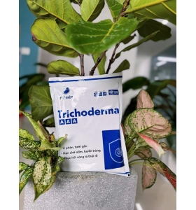 Trichoderma AAA - 1KG