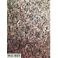 Vỏ thông Nhập khẩu 3-6mm
