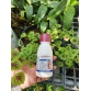 AMISTAR TOP 325SC – THUỐC ĐẶC TRỊ BỆNH XÌ MŨ, NỨT VỎ, VÀNG LÁ, RỈ SẮT, PHẤN TRẮNG TRÊN CÂY TRỒNG - 100ml