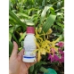 AMISTAR TOP 325SC – THUỐC ĐẶC TRỊ BỆNH XÌ MŨ, NỨT VỎ, VÀNG LÁ, RỈ SẮT, PHẤN TRẮNG TRÊN CÂY TRỒNG - 100ml