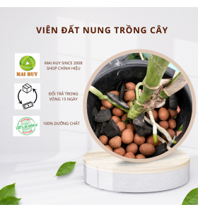 Viên Đất nung trồng lan đủ size [Túi 6 lít]