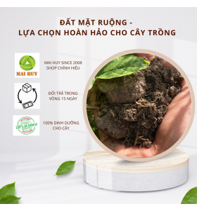 ĐẤT MẶT RUỘNG - LỰA CHỌN HOÀN HẢO CHO CÂY TRỒNG KHỎE MẠNH 