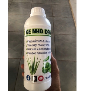 NHA  ĐAM GiẢI ĐỘC, KÍCH RỄ VÀ BÓN LÁ