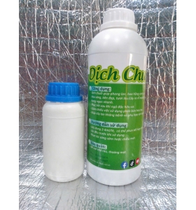 DỊCH CHUỐI THẦN DƯỢC HOA LAN