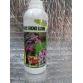 DỊCH CHUỐI  THẦN DƯỢC HOA LAN
