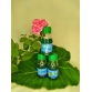 Thuốc Physan 20SL đặc trị THỐI NHŨN, CÓ NƯỚC
