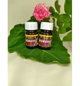 Phân Tảo Biển SEASOL siêu ra rễ, CÓ NƯỚC