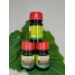 AC - Root sp ra rễ mới từ Úc
