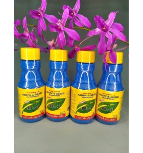 B1 Xanh (Mỹ), CÓ NƯỚC