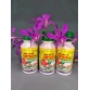Thuốc trừ nhện Ortus 5SC 100ml