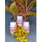 Phân Bón Sinh Học AMI GREEN (Tốt rễ xanh lá, giải độc cây, chống sốc) - chai 100ml