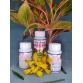 Phân Bón Sinh Học AMI GREEN (Tốt rễ xanh lá, giải độc cây, chống sốc) - chai 100ml