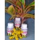 Phân Bón Sinh Học AMI GREEN (Tốt rễ xanh lá, giải độc cây, chống sốc) - chai 100ml