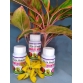 Phân Bón Sinh Học AMI GREEN (Tốt rễ xanh lá, giải độc cây, chống sốc) - chai 100ml