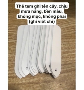 Thẻ tên Đài Loan