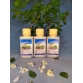 ATAMITE 73 EC ĐẶC TRỊ NHỆN - chai  100ml