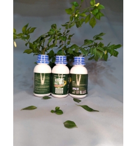 Nano Bạc Đồng - chai 100ml / 1 lít