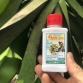 Thuốc trừ nhện đỏ Pesieu 500SC