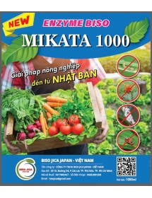 COMBO ENZYM NHẬT BẢN