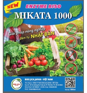 COMBO ENZYM NHẬT BẢN