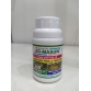 AC - MASUN (magie + S) - hủ 100g