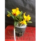 CAT POT CHIEF JEWEL YS