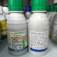 Anvil 100ml, CÓ NƯỚC