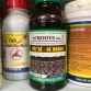 AC ROOT sp ra rễ mới từ Úc